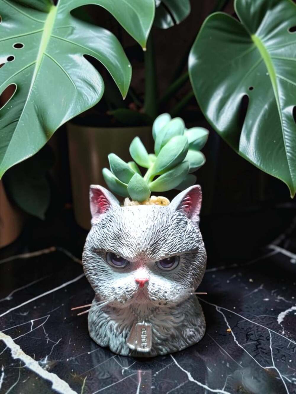 The Bradford Exchange Salem And Bruno Purr-fect Planters Sculpture Collection